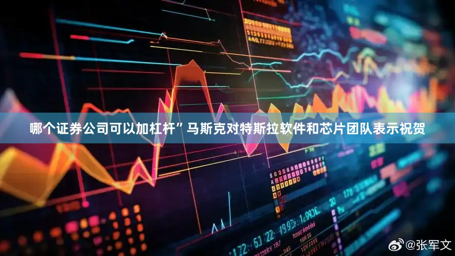 哪个证券公司可以加杠杆”　　马斯克对特斯拉软件和芯片团队表示祝贺