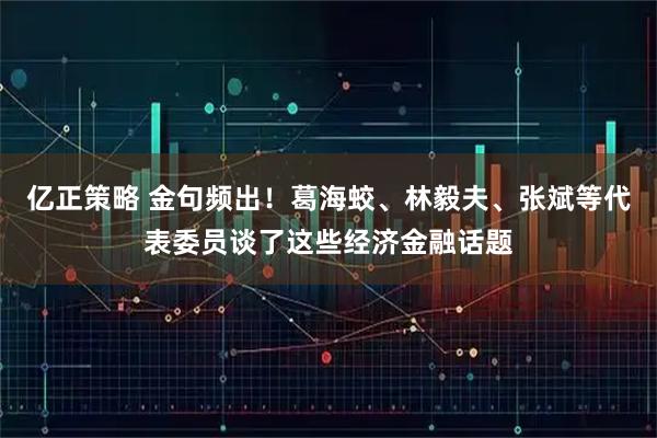亿正策略 金句频出！葛海蛟、林毅夫、张斌等代表委员谈了这些经济金融话题
