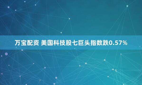 万宝配资 美国科技股七巨头指数跌0.57%