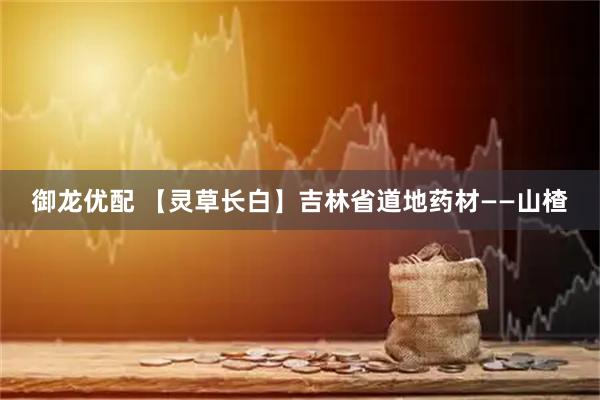 御龙优配 【灵草长白】吉林省道地药材——山楂