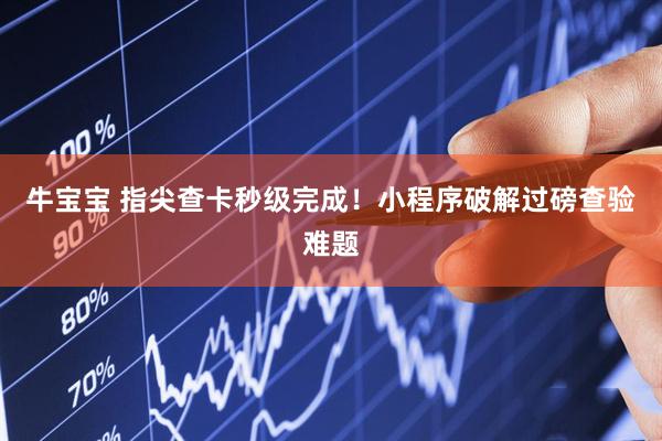 牛宝宝 指尖查卡秒级完成！小程序破解过磅查验难题