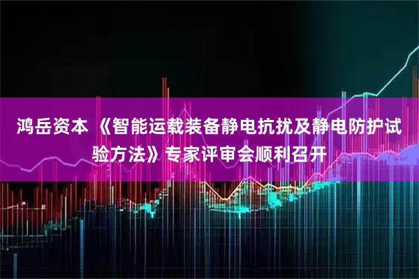鸿岳资本 《智能运载装备静电抗扰及静电防护试验方法》专家评审会顺利召开