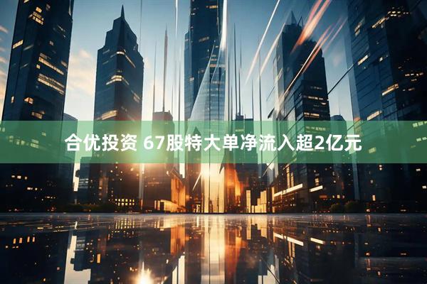 合优投资 67股特大单净流入超2亿元