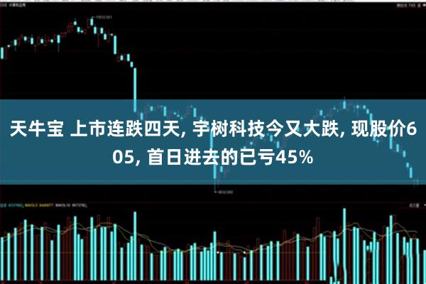天牛宝 上市连跌四天, 宇树科技今又大跌, 现股价605, 首日进去的已亏45%